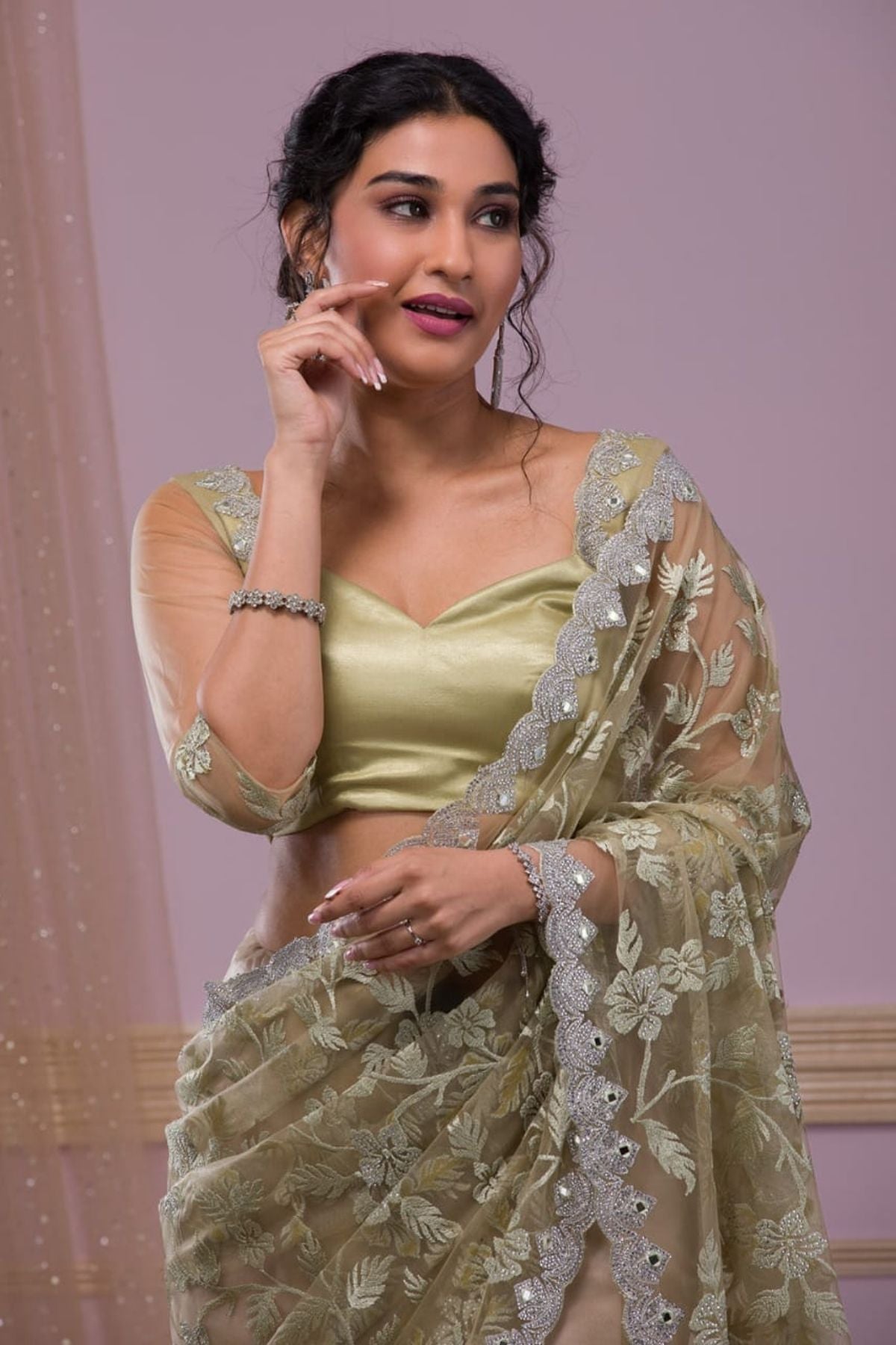 Butterfly Net Saree